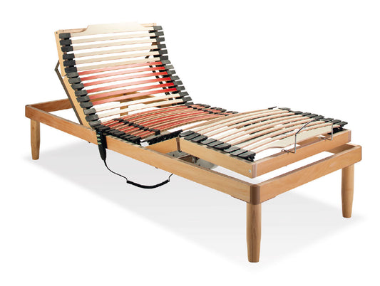 Electric Bed Mechanism